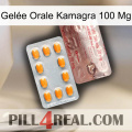 Gelée Orale Kamagra 100 Mg new13